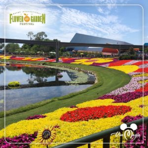 Epcot International Flower & Garden Festival