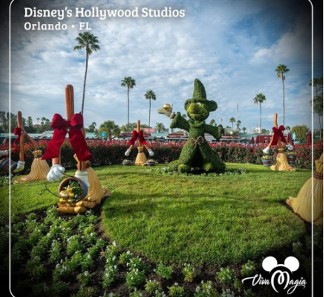 Hollywood Studios